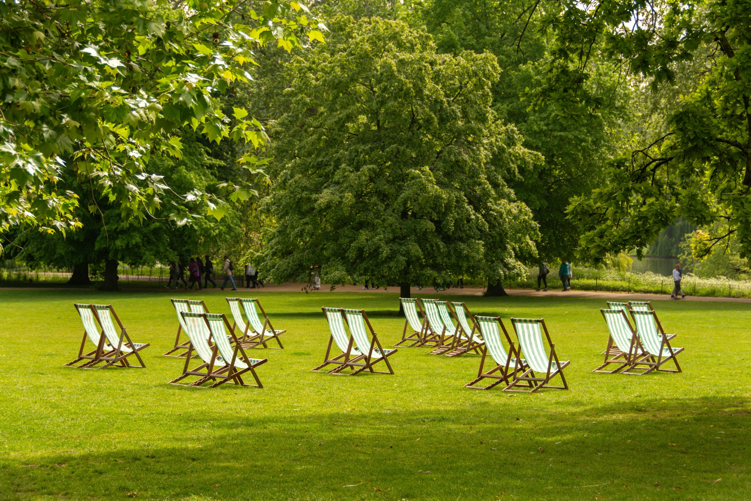 Green deck chairs on a lush park lawn during a sunny day, surrounded by trees and nature.