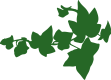 VineGraphicsGreenLeft