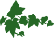 VineGraphicsGreenRight